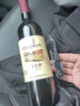 張裕紅酒陽(yáng)光海岸 多名利干紅葡萄酒 12.5度赤霞珠釀制國產(chǎn)紅酒 750ml*1支 曬單實(shí)拍圖