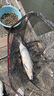 老刀大物線組成品超強(qiáng)拉力釣魚主線鱘魚青魚綁好巨物線組加強(qiáng)版全套裝 8.1米 【線組1組+大物對(duì)鉤2付】 魚線8號(hào) 曬單實(shí)拍圖
