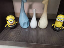 Minions神偷奶爸 小黃人公仔手辦擺件 模型玩具 生日禮物 創(chuàng)意禮品 野人款套裝/凱文+斯圖爾特+喬治 曬單實拍圖