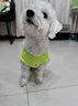 MIKI PAD狗狗衣服馬甲夏季薄款透氣可牽引寵物小型犬春秋貓衣服比熊西高地 抹茶馬卡龍背心 M胸圍42cm（建議5-8斤） 曬單實(shí)拍圖