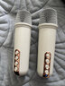 飛利浦（PHILIPS）TAS2808藍牙話(huà)筒音響一體麥克風(fēng)k歌家用迷你音箱兒童ktv套裝藍牙戶(hù)外小型便攜式卡拉ok 白色 雙麥【K歌音響】混響美聲 曬單實(shí)拍圖