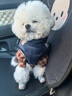MOEPIE狗狗衣服秋冬款西高地博美雪納瑞比熊小狗冬季保暖胸背外套 寶藍色 S（推薦4-6斤狗狗） 曬單實(shí)拍圖