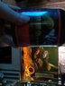 DEERA三湖慈鯛飼料鯛魚(yú)魚(yú)飼料六間專(zhuān)用魚(yú)糧馬鯛魚(yú)食非洲王子雜鯛下沉型 1.0mm慈鯛專(zhuān)用糧680ml/450g 曬單實(shí)拍圖