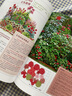 綠手指園藝叢書(shū) 花壇與花鏡設計 運用花園里有限的色彩來(lái)創(chuàng  )造出具有震撼力的花壇花境景觀(guān)六大技巧養花書(shū)籍 曬單實(shí)拍圖