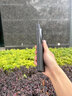CONGA適用vivoxfold3手機(jī)殼套凱夫拉芳綸纖維vivo x fold3 pro保護(hù)套碳纖維翻蓋式全包防摔超薄商磁吸 【前后殼】炫酷黑｜火山口｜1500D vivo X Fold3 曬單實拍圖