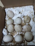 帆兒莊園新鮮正宗土鵝蛋新鮮農家鵝蛋孕婦鵝蛋散養綠色鵝蛋孕婦兒童大鵝蛋 12枚(90-120g) 曬單實(shí)拍圖