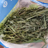 祖莉（JOLLY）進(jìn)口提摩西草苜蓿草烘干提草糧兔子龍貓豚鼠荷蘭豬干草兔糧兔飼料 600g 3包 加拿大提摩西草共1800g 曬單實(shí)拍圖