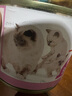 皇家ROYALCANIN慕斯1-4個月離乳期幼貓奶糕孕貓主食罐頭濕糧貓零食 195g/罐 12罐 曬單實拍圖