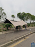 Aoran黑膠天幕戶(hù)外露營(yíng)遮陽(yáng)野餐防雨防曬公園蝶形加厚大空間野營(yíng)涼棚 26㎡黑膠天幕+桌椅5件套 曬單實(shí)拍圖