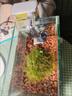 XMSJ小魚(yú)缸過(guò)濾器水循環(huán)三合一小型增氧瀑布式壁掛式凈水過(guò)濾水泵 F1-300安靜-(生化棉*1) 曬單實(shí)拍圖