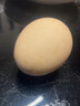 帷曼毛蛋農家生毛雞蛋雞胚蛋旺雞蛋營(yíng)養雞喜蛋酷語(yǔ)半毛半蛋非即食 40枚 1000g 曬單實(shí)拍圖