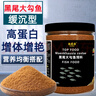 佩尼森魚(yú)食黑尾大勾魚(yú)專(zhuān)用飼料紅鼻子剪刀一眉道人魚(yú)孔雀魚(yú)小型觀(guān)賞魚(yú)糧 【增體增艷】0.6mm/600ml/230g 曬單實(shí)拍圖