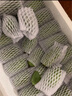 卡布諾丹東軟棗獼猴桃鮮果龍城2號奇異莓新鮮綠心奇異果生鮮水果禮盒 長(cháng)果精選中果3斤（單果11g+） 曬單實(shí)拍圖