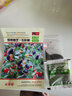 花中酷 四季種易活套餐室內陽(yáng)臺盆栽綠植物庭院花卉花草種子太陽(yáng)花種子 松葉牡丹200粒 曬單實(shí)拍圖