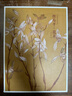 出類藝術(shù)畫片集：惲壽平花卉 精選32幀歷代名家經(jīng)典畫冊(cè)作品禮盒裝 裝飾畫創(chuàng)意送禮鑒賞收藏小清新明信片浙江人民美術(shù)出版社圖書籍 曬單實(shí)拍圖