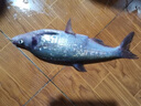 刃釣多節(jié)蝦包鉛蝦路亞餌大對蝦假蝦軟餌淡水海釣海鱸鲅魚石斑鱖魚翹嘴 小號8cm8g(混色5個裝)送盒 曬單實拍圖