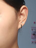 向晚 甜酷獨特黑色耳扣素圈耳環(huán)氣質(zhì)極簡小眾耳飾男女2025新款 銀黑耳扣 曬單實拍圖