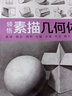 美學(xué)大師領(lǐng)悟素描幾何體書(shū)籍 八開(kāi)臨摹范本 素描起步入門(mén)基礎教程對畫(huà)照片寫(xiě)生技法畫(huà)冊集美院聯(lián)考美術(shù) 曬單實(shí)拍圖