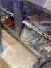 澳柯玛（AUCMA）冷藏工作台 商用冰柜卧式保鲜平冷全铜管操作台 冰柜奶茶店水吧台厨房操作台商用冰箱 【标准款】冷冻 长1.5米-宽0.6米-高0.8米 实拍图