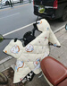 梓晨電動(dòng)車擋風(fēng)被冬季加絨加厚電瓶摩托車防水防風(fēng)罩春秋四季通用冬款 玫瑰可愛(ài)狗【加寬大側(cè)翼】北極絨 牛奶絨 曬單實(shí)拍圖