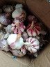 辰實【新干蒜】新鮮紫皮大蒜 云南獨頭蒜三瓣蒜 大蒜農(nóng)家蔬菜臘八蒜 9斤（多蒜瓣） 曬單實拍圖
