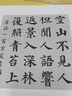 顏體集字古詩·顏真卿多寶塔碑 曬單實拍圖