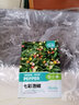 壽禾七彩辣椒種子泡椒七彩椒種泡椒燈籠椒陽(yáng)臺種植盆栽廣西五彩蔬菜 壽禾七彩泡椒種子 100?！?袋 曬單實(shí)拍圖
