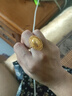 中鑫珠寶爆閃鴿子蛋黃金戒指5G工藝花絲戒指足金999首飾金戒指女 8.19g 曬單實(shí)拍圖