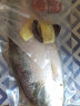 豐收日送風(fēng)干五花肉】酒香蒸鰣魚800g菜肴半成品快手菜方便菜海鮮水產(chǎn) 送鹵汁牛肉150g】酒香蒸鰣魚800g 曬單實拍圖