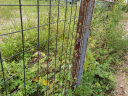 珠穆峰铁丝网围栏网钢丝铁网子护栏网荷兰网养鸡网养殖网栅栏围墙防护网 2.5毫米1.5高*6CM孔30米22斤加重 实拍图