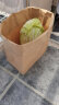 班哲尼 防油牛皮纸袋冰箱整理袋蔬菜瓜果食品包装袋牛皮纸淋膜袋90克加厚款外卖打包袋 大号25个装 实拍图