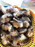 新鮮現(xiàn)剝海螺香螺肉海鮮鮮活水產(chǎn)大海螺即食冷凍玉螺肉去內(nèi)臟 1斤裝 500g 曬單實拍圖