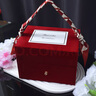化妝箱雙層絲絨婚禮伴手禮女伴娘結婚姐妹團高檔回禮盒實(shí)用生日禮 紅色化妝箱05款（送透明手提袋） 21.5*16.5*16 曬單實(shí)拍圖
