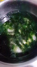 七街八巷海葡萄新鮮即食鹽漬海洋蔬菜植物魚子醬海藻帶菜水葡萄海草y 【普通裝】海葡萄*1包（送蘸料） 曬單實(shí)拍圖