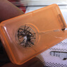 龍寶來魚鉤收納盒多功能釣魚配件盒魚鉤集鉤器集鉤盒魚鉤回收盒漁具垂釣 橙色 曬單實拍圖