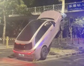 瓦爾塔（VARTA）藍標免維護汽車(chē)蓄電池汽車(chē)電瓶【免費上門(mén)安裝】以舊換新全國聯(lián)保 55B24LS CRV雅閣2.0思域思鉑睿 曬單實(shí)拍圖