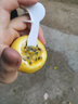 譯優(yōu)農海南黃金百香果 新鮮現摘西番蓮黃皮芭樂(lè )味雞蛋果熱情果 孕婦水果 3斤精選一級大果 曬單實(shí)拍圖