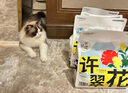 許翠花原味純植物貓砂2.5kg*4包 木薯不粘底強(qiáng)吸水易結(jié)團(tuán)【經(jīng)典】 曬單實(shí)拍圖