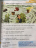 原版英國麥克米倫Story Central1-6級別 少兒小學英語教材含書本  練習冊 故事書  學生賬號故事性教材書籍 日常生活主題詞匯 2級別（書本+練習冊+故事書） 曬單實拍圖