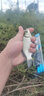 儒煜魚餌一款不空軍的餌料鯽魚鯉魚通殺野釣鯽魚餌冬季 不空軍+超誘+一窩瘋 曬單實拍圖