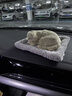 萊樞匯汽車(chē)內用品動(dòng)物裝飾車(chē)載擺件中控臺玩偶竹炭包精致仿真狗狗玩具 仿真金毛款-動(dòng)物汽車(chē)擺件 曬單實(shí)拍圖