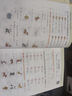 25秋新版小學(xué)英語聽力能手三年級四年級五六年級上冊下冊一二年級PEP人教版譯林外研通城學(xué)典聽力專項(xiàng)訓(xùn)練書同步練習(xí)冊題 人教PEP版 【25秋】三年級上冊 曬單實(shí)拍圖