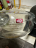 青苹果 大号玻璃和面盆4.5L水果沙拉碗打蛋碗拌馅盆蛋糕烘焙碗揉面盆 实拍图