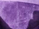 fons 高領(lǐng)保暖衣女士加絨加厚款棉毛衫內(nèi)衣套裝打底衫單件上衣長袖立領(lǐng)秋衣褲女襯衣冬季 高領(lǐng)單件-紫色（上衣） XL 曬單實拍圖