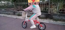 GOGOBIKE 14寸鋁合金超輕男女式成人單速碟剎小輪學(xué)生單車便攜折疊自行車 14寸鋁路寶/碟剎/石榴紅 曬單實拍圖