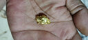 金藝鑫 3D硬金黃金小豬吊墜女999足金本命年生肖豬吊墜黃金項鏈 金豬約1.9克 曬單實拍圖