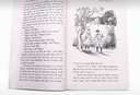 新版8冊(cè) 納尼亞傳奇英文原版小說(shuō) The Chronicles of Narnia 青少年奇幻文學(xué) CS Lewis 劉易斯 曬單實(shí)拍圖