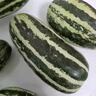 新疆博洋9號 新鮮水果當(dāng)季脆蜜香瓜玻璃脆冰糖子甜瓜 精選果2斤 曬單實拍圖