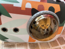 KimPets猫包外出宠物便携单肩书包太空舱背包狗狗猫咪猫笼子外带携带用品 【森林绿】茶色遮光透气太空包 （0-12斤左右宠物适用）40*26*26 实拍图