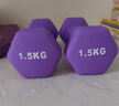 MF啞鈴女小啞鈴純鐵健身家用杠鈴套裝組合浸塑實(shí)心瘦手臂 【女士入門(mén)推薦】魅力紫-1.5kg*2 曬單實(shí)拍圖